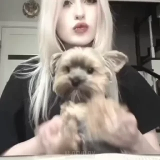 🌟