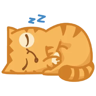 😴