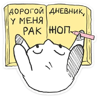 ⭐