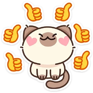 🐱