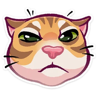 🐱