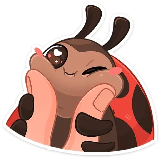 🐞