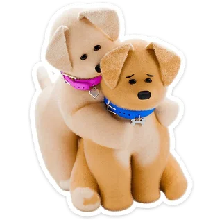 🐶