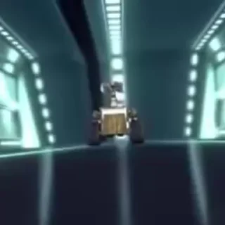 🌟