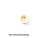 🐤