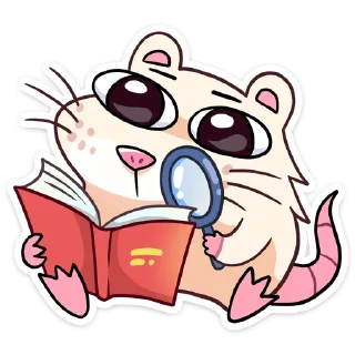 📖