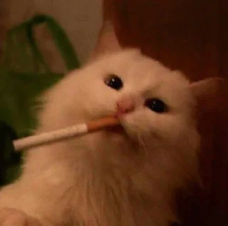 🚬