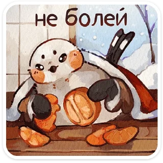 ✨