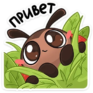 🐞