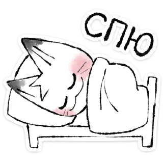 🐱