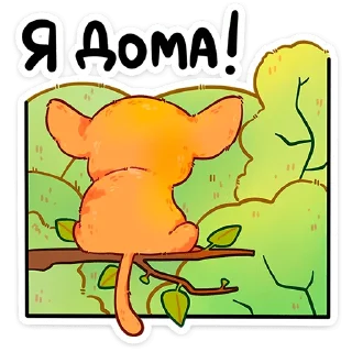 ⭐