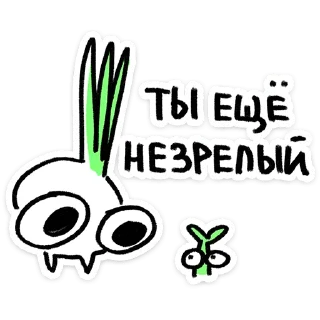 ✨
