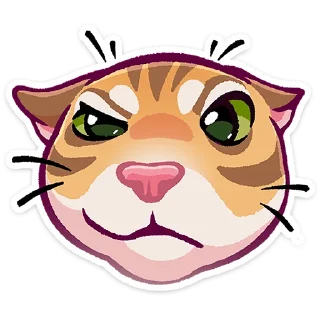 🐱
