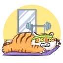 🐯
