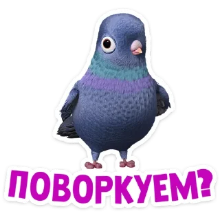 🐦