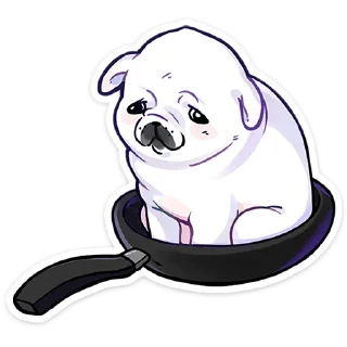 ⭐