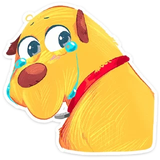 🌟