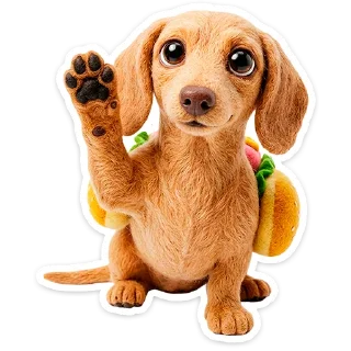 🐶