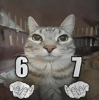 6️⃣