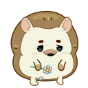 🌼