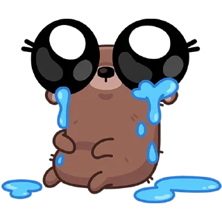 🐻