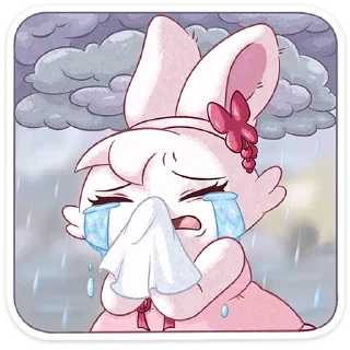 🐰