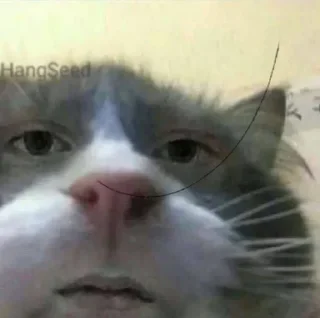 😐