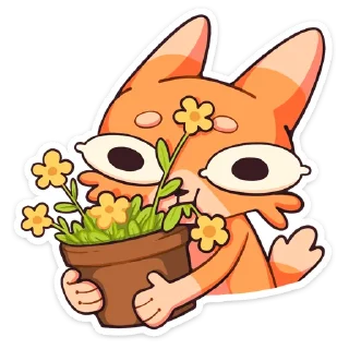 🌺