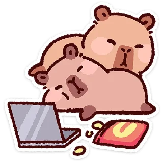 ⭐