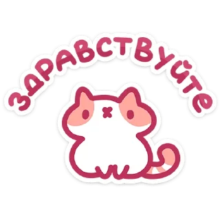 🐱