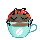☕️