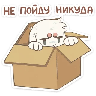 ⭐