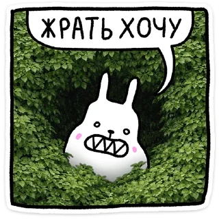 🐰