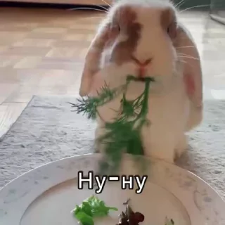 😄