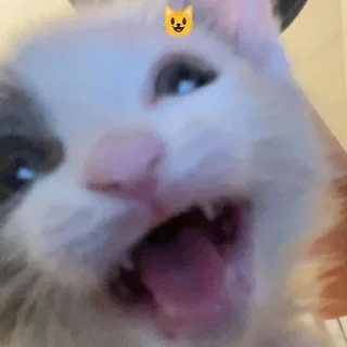 😁