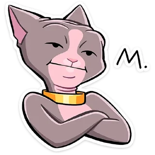 😼