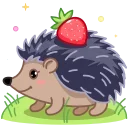 ⭐