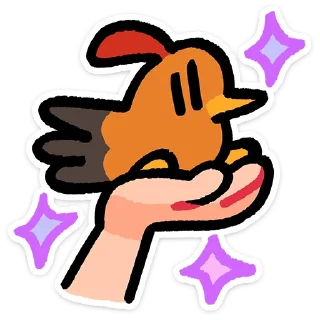 ✨