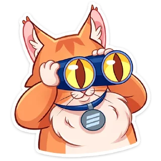 ⭐