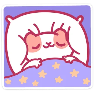 🐱
