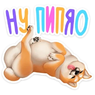 ✨