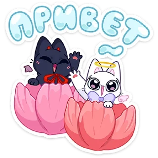 Аннет и Сейлем — Telegram sticker pack