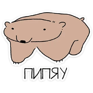 🐻