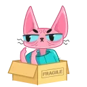 📦