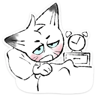 🐱