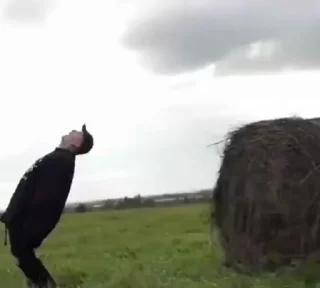 🌟