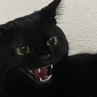 😈