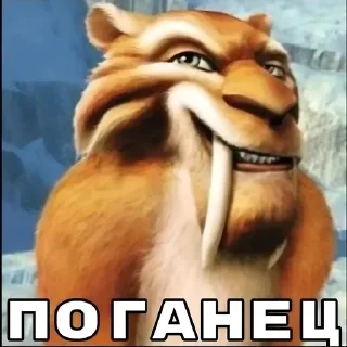 😼