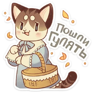 🐱