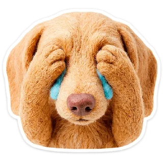 🐶